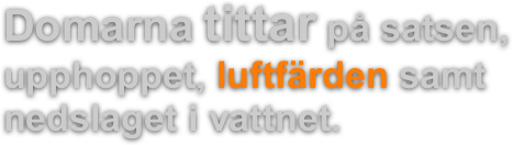Domarna tittar på satsen, upphoppet, luftfärden samt nedslaget i vattnet.

