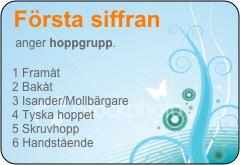 Första siffran 
   anger hoppgrupp. 
 
  1 Framåt 
  2 Bakåt 
  3 Isander/Mollbärgare 
  4 Tyska hoppet
  5 Skruvhopp 
  6 Handstående 